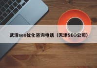 武清seo优化咨询电话（天津SEO公司）