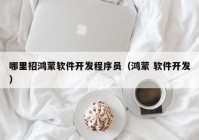 哪里招鸿蒙软件开发程序员（鸿蒙 软件开发）