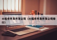 小程序开发开发公司（小程序开发开发公司排行）