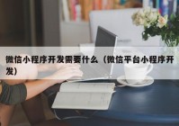 微信小程序开发需要什么（微信平台小程序开发）