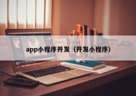 app小程序开发（开发小程序）