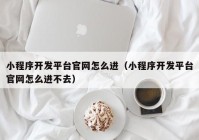 小程序开发平台官网怎么进（小程序开发平台官网怎么进不去）