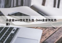 小企业seo优化怎么选（seo企业优化方案）