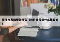 软件开发需要做什么（软件开发做什么比较好）