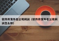 软件开发外包公司利润（软件开发外包公司利润怎么样）