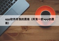 app软件开发的费用（开发一款app的费用）