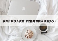 软件开发投入资金（软件开发投入资金多少）