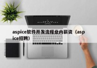 aspice软件开发流程业内薪资（aspice招聘）