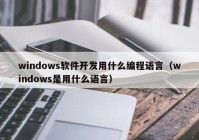 windows软件开发用什么编程语言（windows是用什么语言）