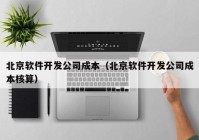 北京软件开发公司成本（北京软件开发公司成本核算）