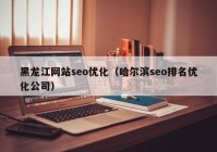 黑龙江网站seo优化（哈尔滨seo排名优化公司）