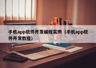 手机app软件开发编程实例（手机app软件开发教程）