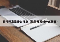 软件开发是什么行业（软件开发叫什么行业）