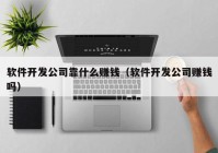 软件开发公司靠什么赚钱（软件开发公司赚钱吗）