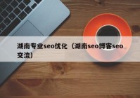 湖南专业seo优化（湖南seo博客seo交流）