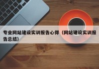 专业网站建设实训报告心得（网站建设实训报告总结）