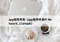 app软件开发（app软件开发Pi Network_1320apk）