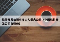 软件开发公司有多少人是大公司（中国软件开发公司有哪些）