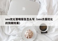 seo优化策略报告怎么写（seo方案优化的预期效果）