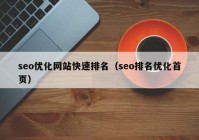 seo优化网站快速排名（seo排名优化首页）