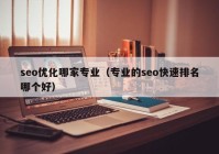 seo优化哪家专业（专业的seo快速排名哪个好）