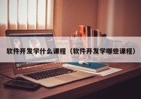 软件开发学什么课程（软件开发学哪些课程）