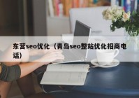 东营seo优化（青岛seo整站优化招商电话）