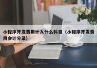 小程序开发费用计入什么科目（小程序开发费用会计分录）